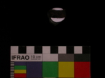 L_V19e3112 A12q483.1 Q921 dM f201 la